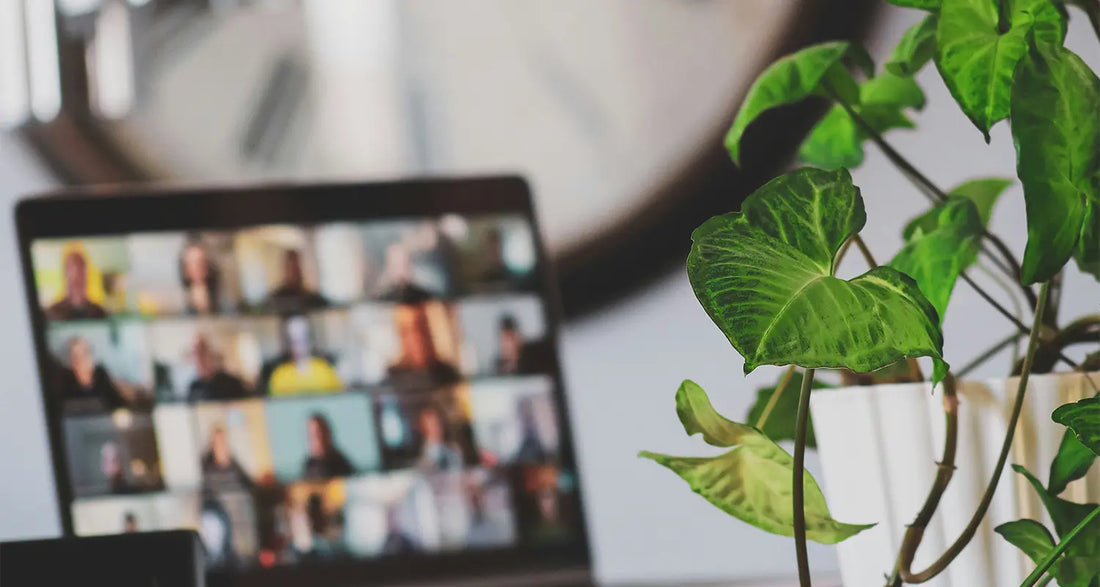 Online Meetings